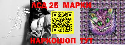 гидропоника Можайск